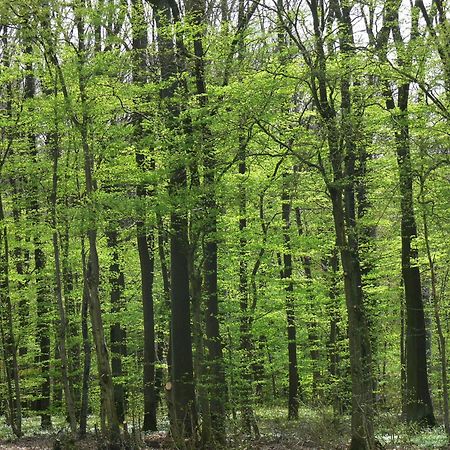 Ferienwohnungen Fischer Strullendorf Kültér fotó